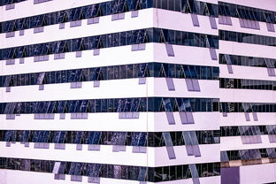 爱游戏体育官网-体育新闻中心建设体育数字内容版权保护体系，体育数据新闻