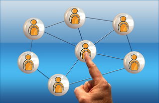 爱游戏ayx-中小学篮球课程内容不断丰富提升学生篮球综合素养，中小学篮球教学方法